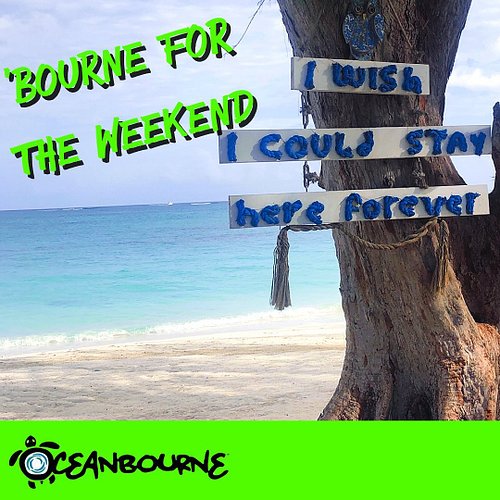 HAPPY FRIDAY EVERYONE! 🤙🏽
~~~~~~~~~~~~~~~~~~~~~~

#happy #beach #beachlife #sand #surf #cool #coolshirts #cooltshirts #beachs...