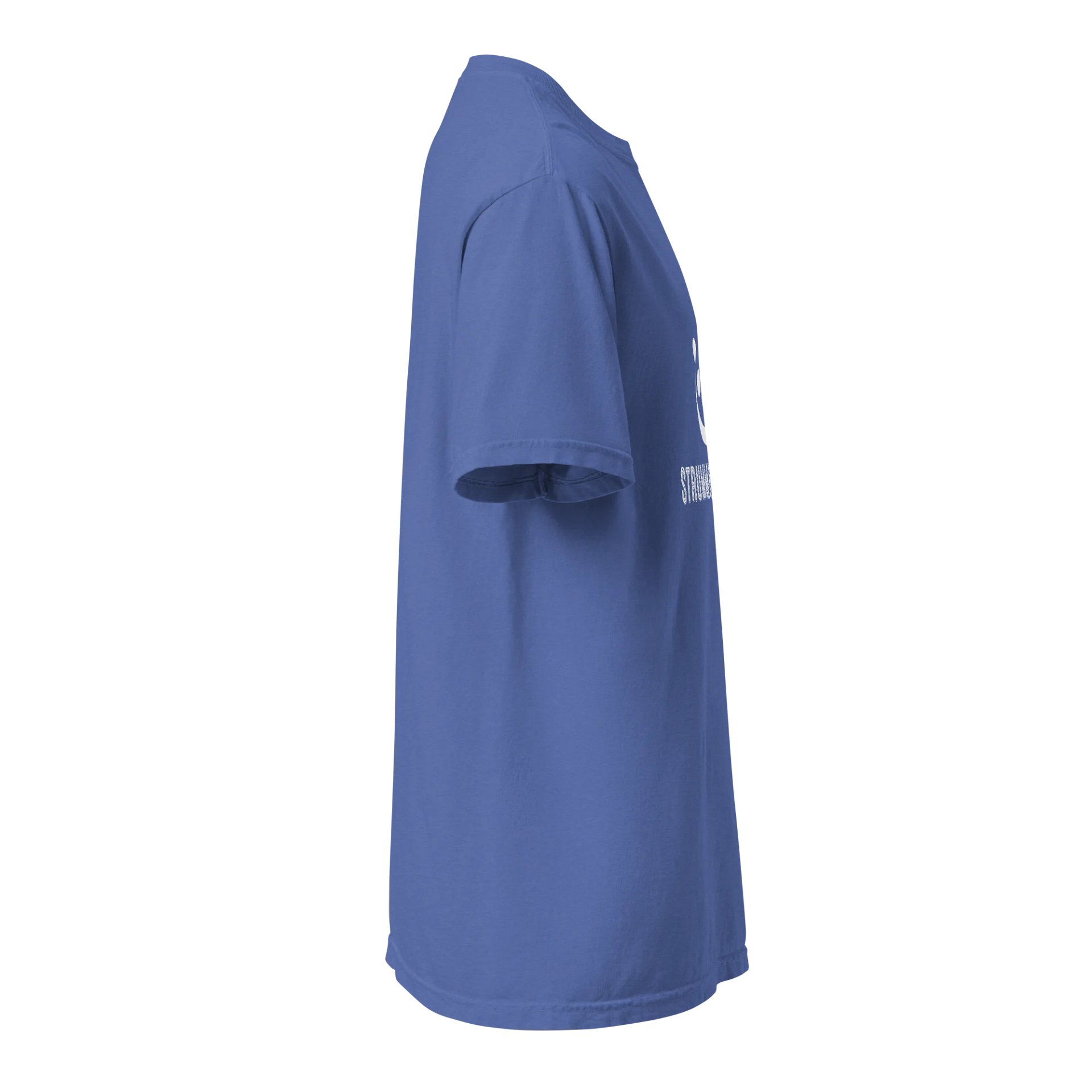 Strummingpanda T-Shirt - Blue product image (4)