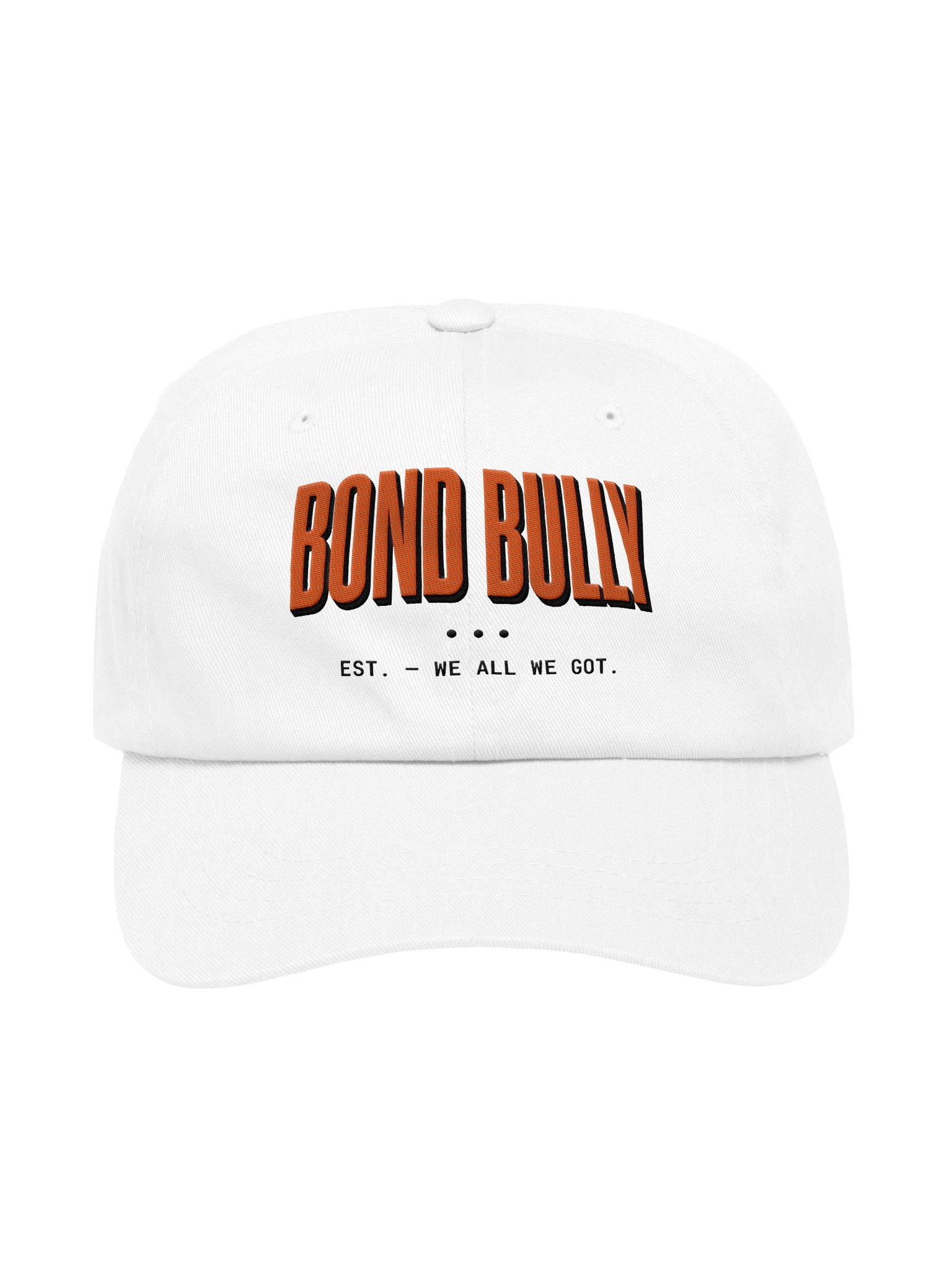 Classic Dad Hat product image (1)