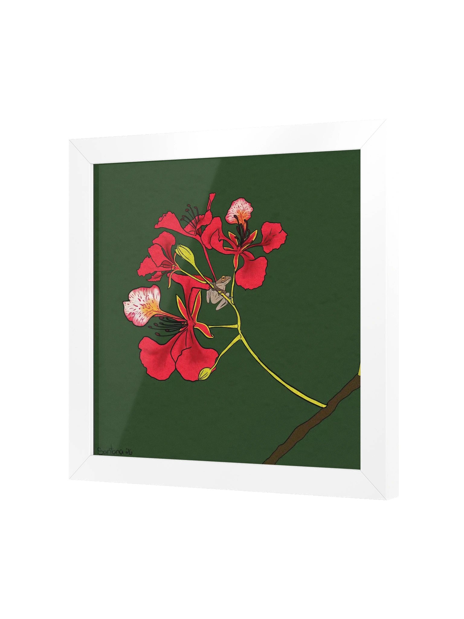 Legacy in Bloom: Flamboyán & Coquí (Framed Gallery Print) product image (22)