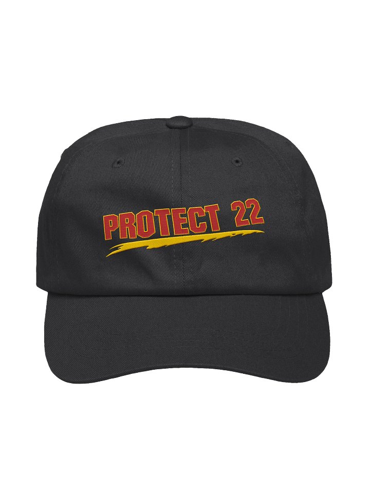 PROTECT 22 — Cap product image (1)