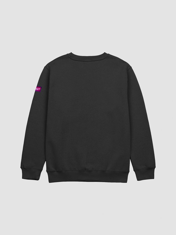 Misbehaving Pride 2025 - Sweatshirt product image (2)