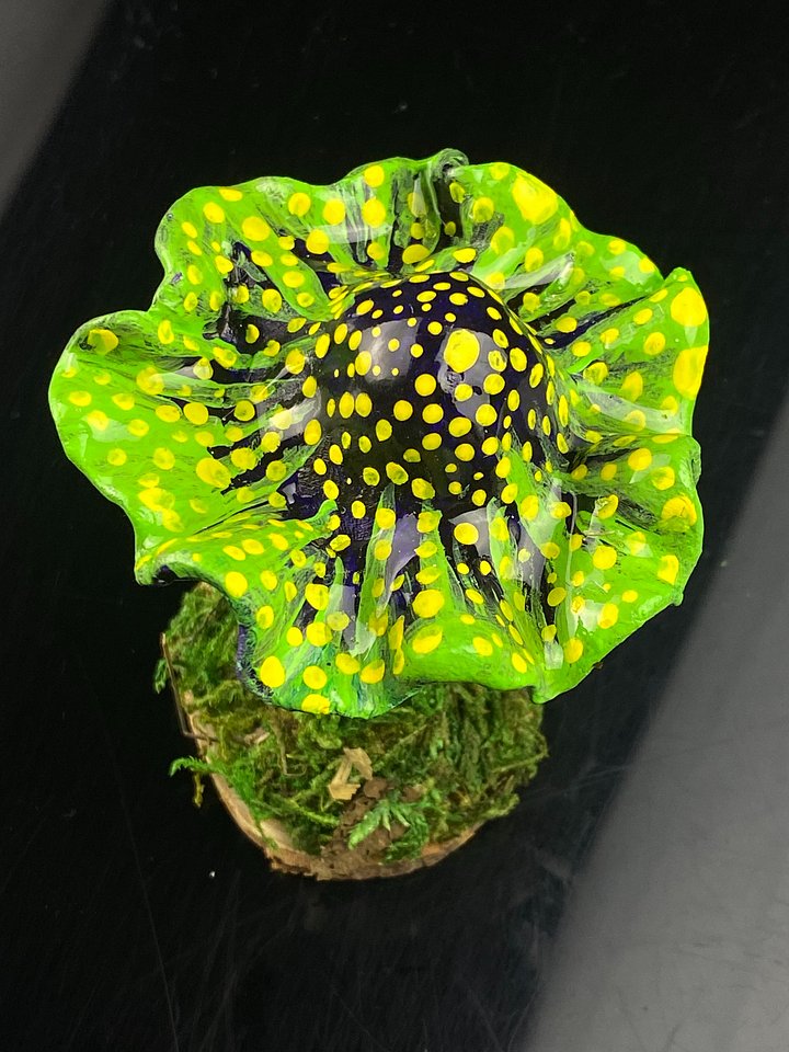 Dark Purple and Lime Green Mushroom product image (2)