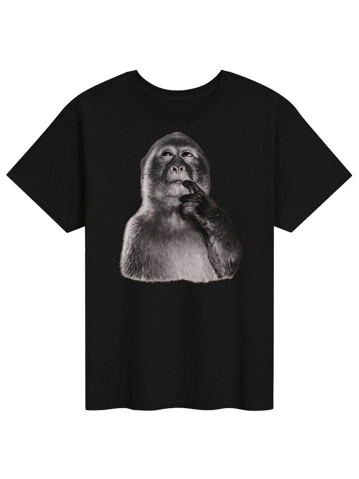 Philosopher Monkey T-shirt product image (1)