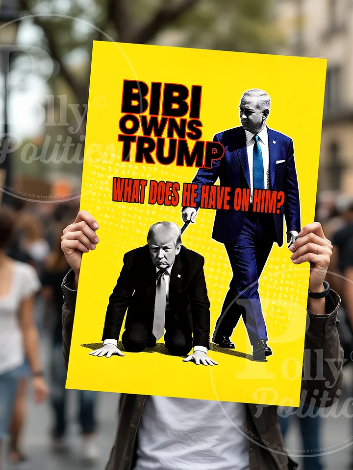 Bibi Owns Trump Protest Sign product image (1)