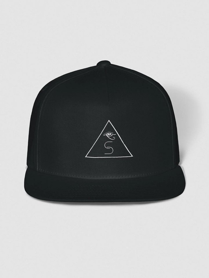 The Cult of Salt Snapback product image (3)