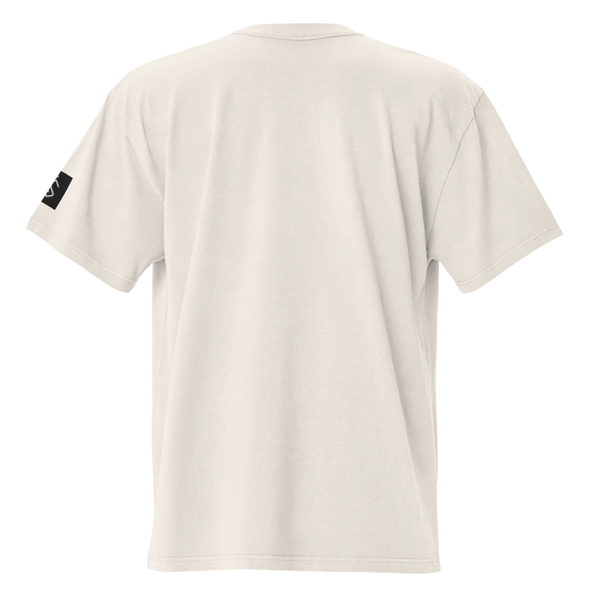 Calisthenics Ascend White T-Shirt product image (6)