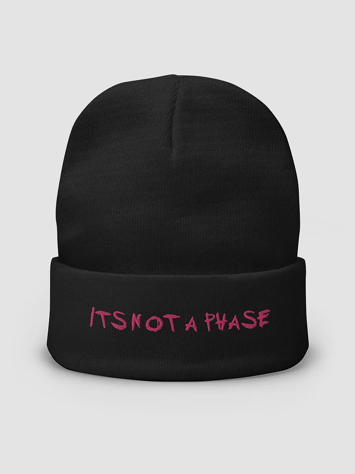 Its Not a Phase Beanie product image (2)