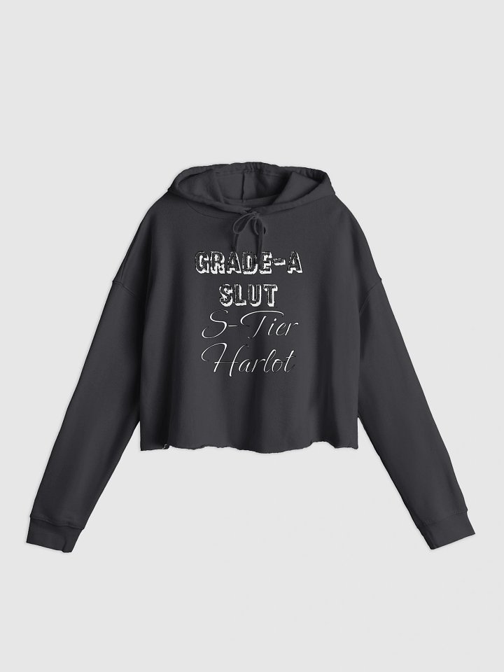 Grade-A S-Tier Crop Hoodie product image (3)
