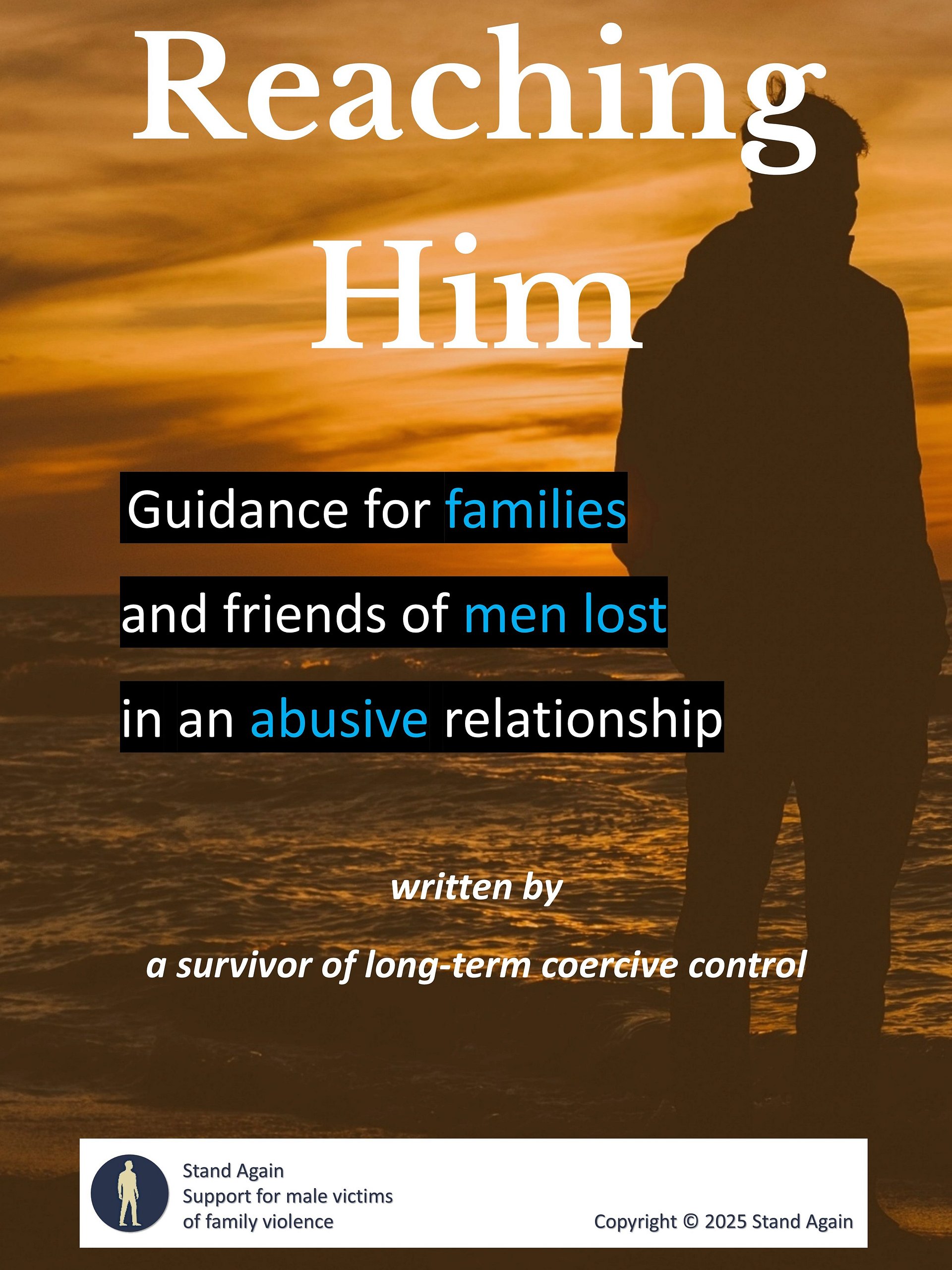 Reaching Him: Guidance for families and friends of men lost in an abusive relationship product image (1)