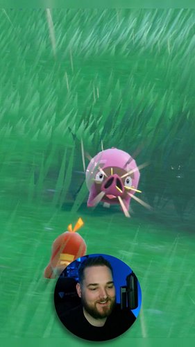 My 3rd shiny in Pokemon Scarlet and Violet and this is one I really wanted to find! I can't believe my luck in this game!

#p...