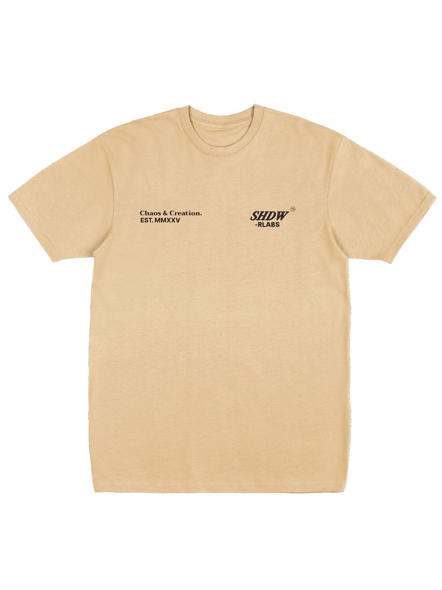 OVERSIZED TEE - SHDW LABS product image (1)