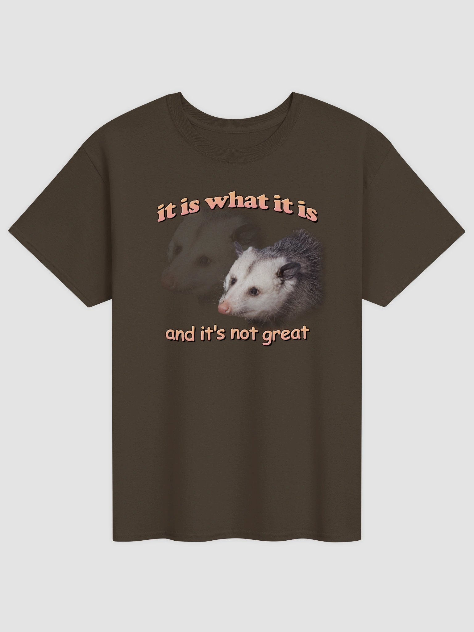 It is what it is (and it's not great) possum T-shirt product image (13)