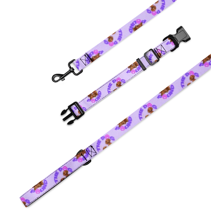 Dog Pound Collar and Leash Set product image (1)