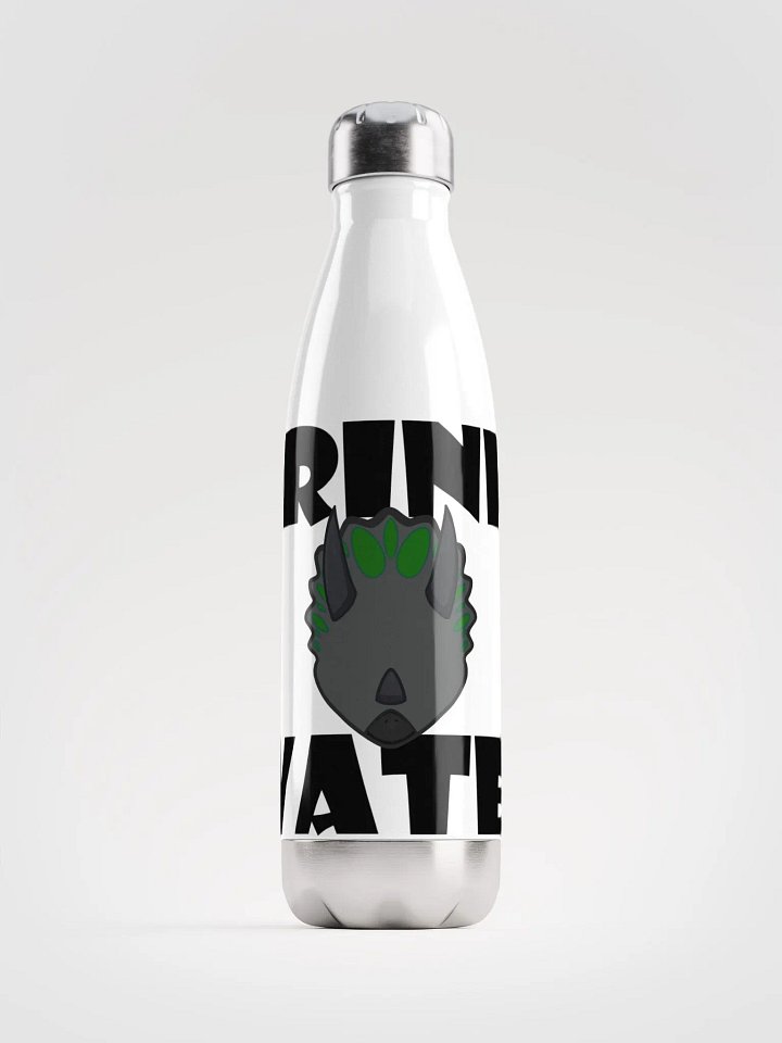 Stainless Steel Water Bottle Trike product image (1)