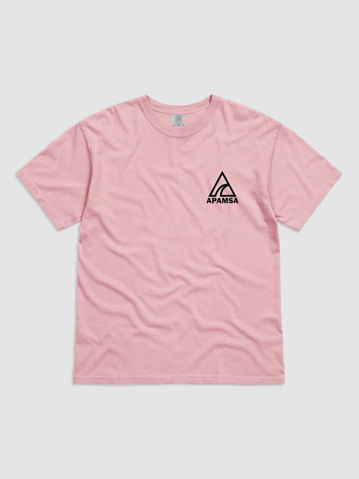 AANHPI Food T-Shirt (Limited Edition) product image (1)