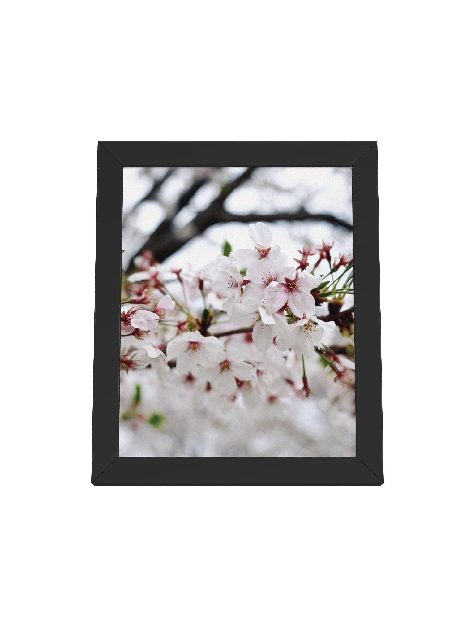 Sakura product image (1)
