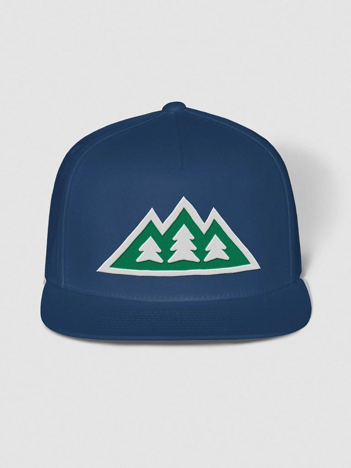The Most 'Seattle' Hat Ever product image (1)