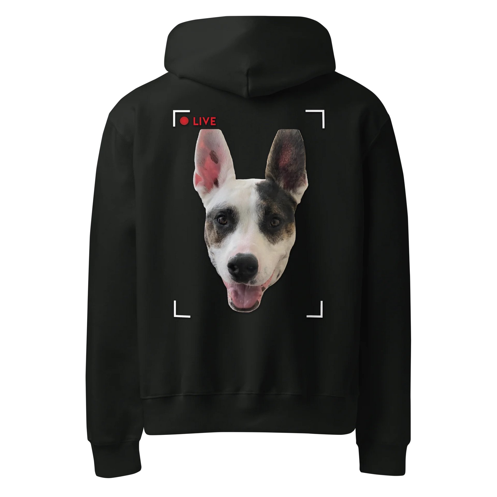 Sagey Hoodie product image (26)