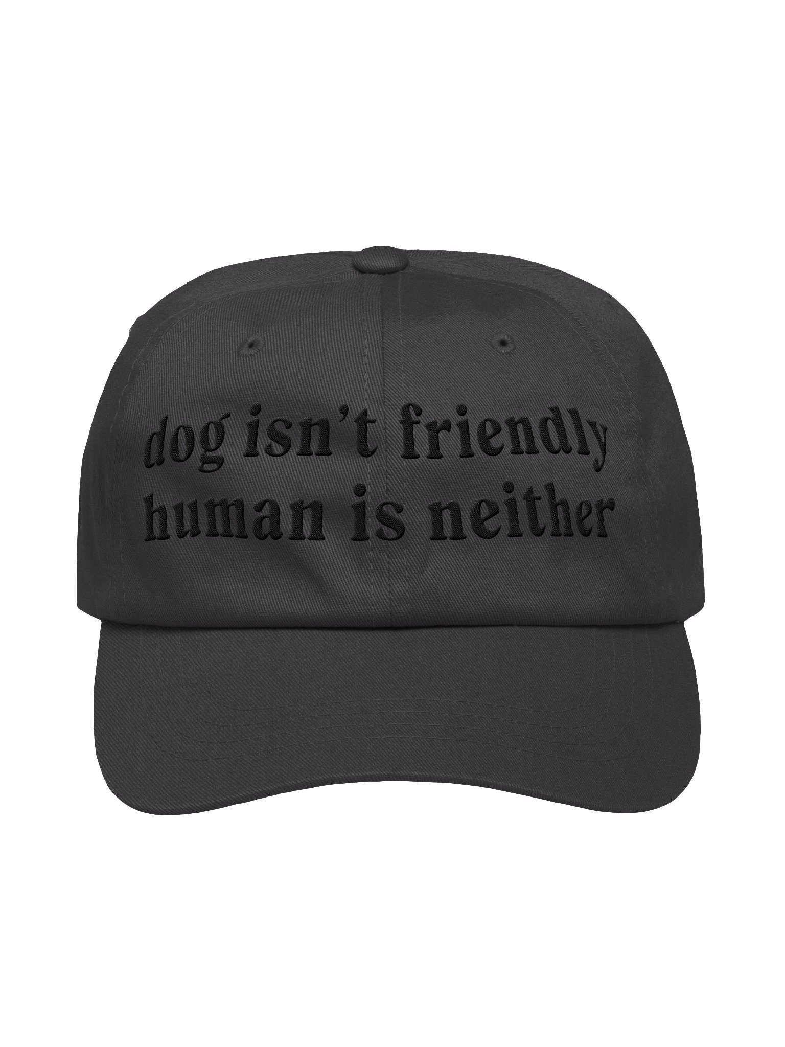 Dog Isn't Friendly. Human Is Neither (Embroidered) Low Contrast (Black) Classic Dad Hat product image (1)