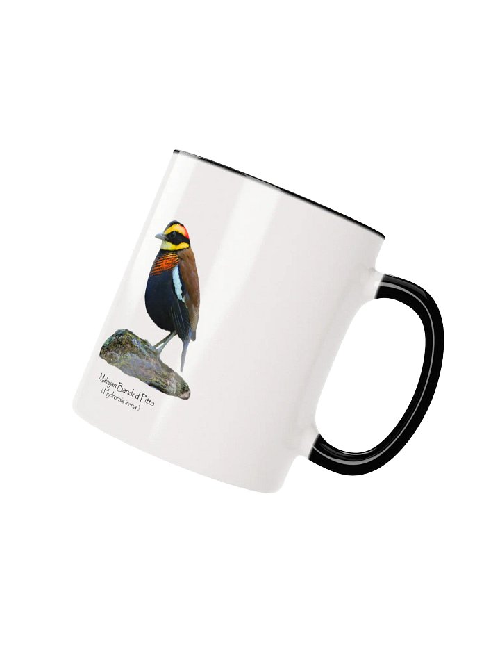 Malayan Banded Pitta mug product image (11)