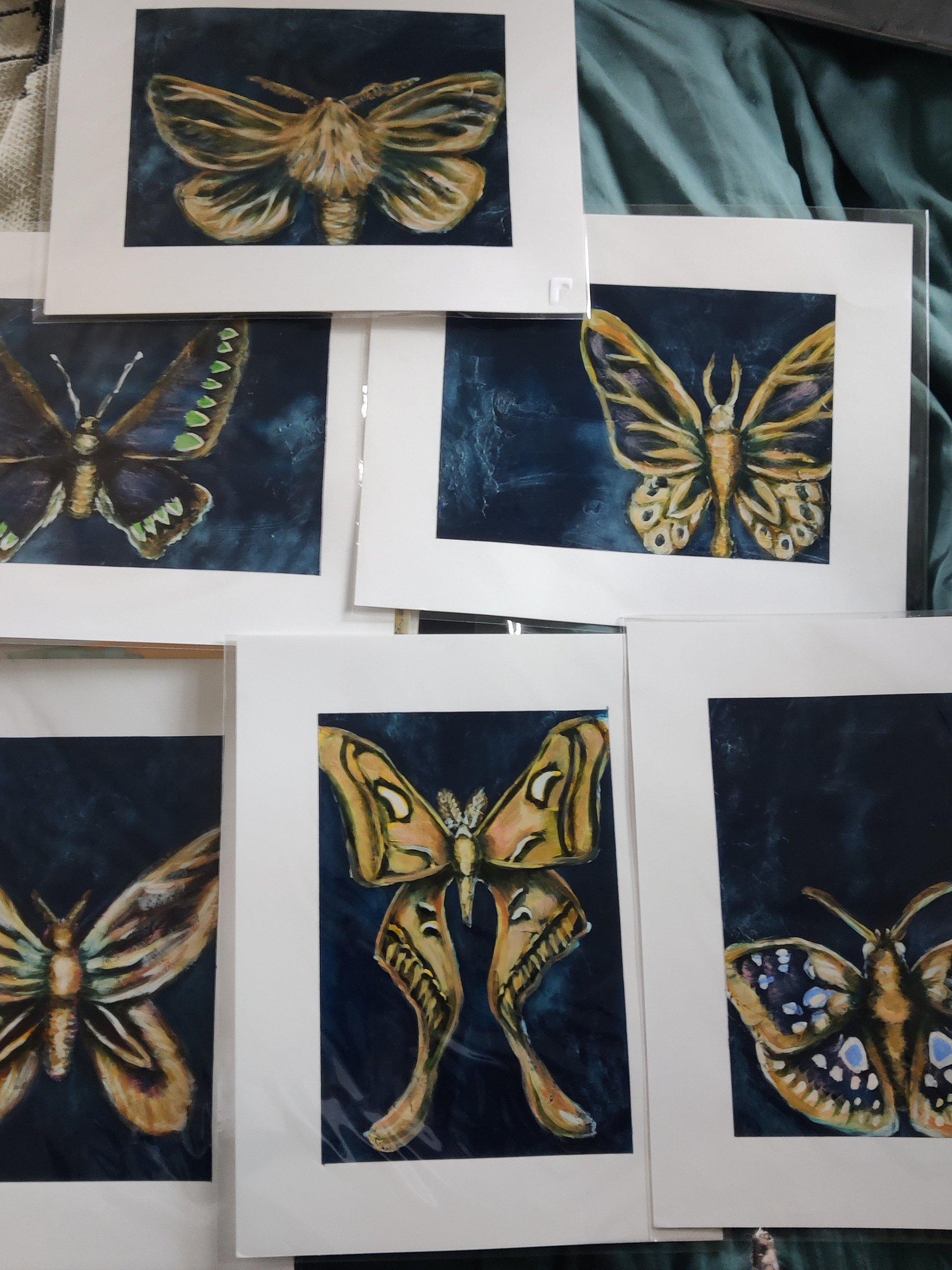 Moth Collection product image (1)