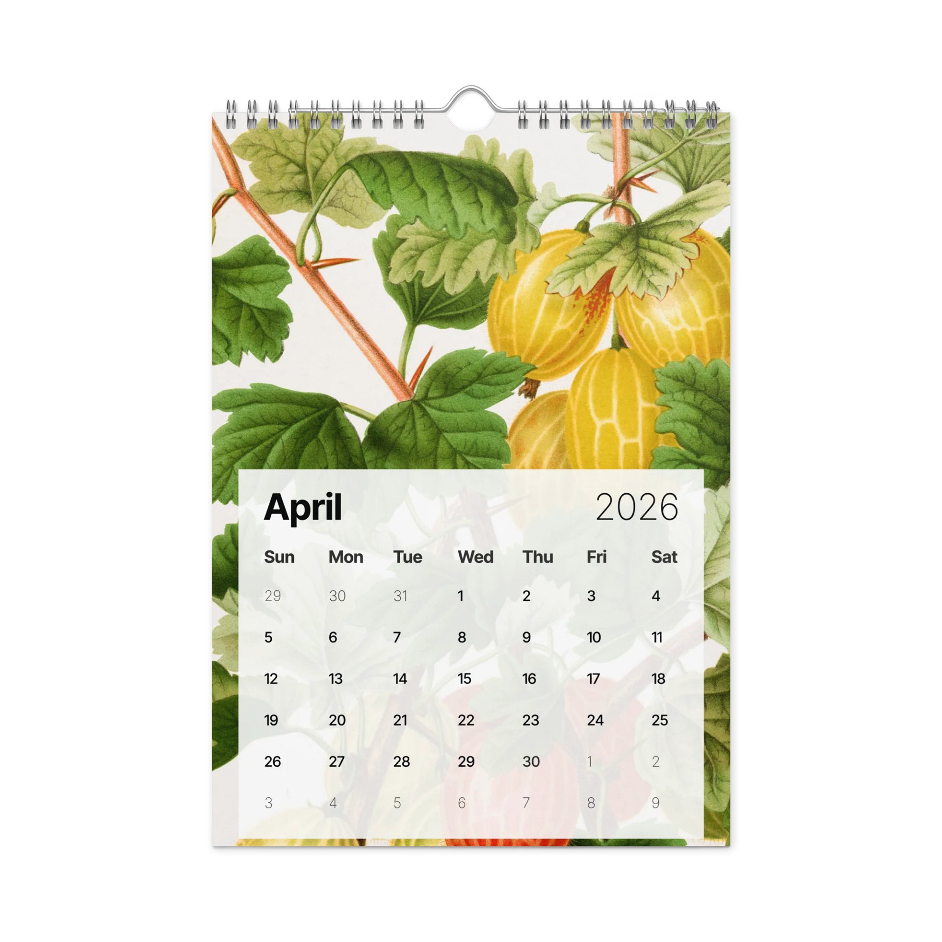 DK 2026 Wall Calendar product image (5)