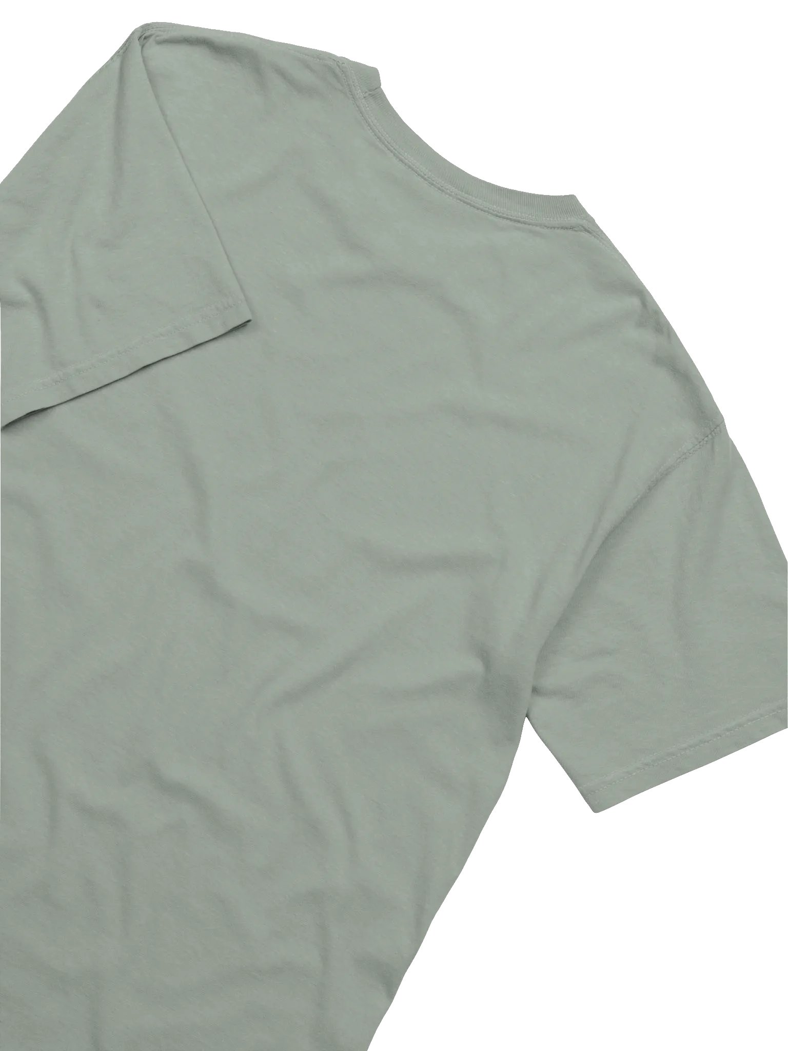 Trusty Phishing Tee product image (16)