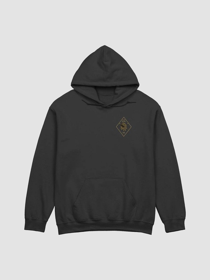 Tactical Collection - FDE Logo on Black Hoodie product image (1)