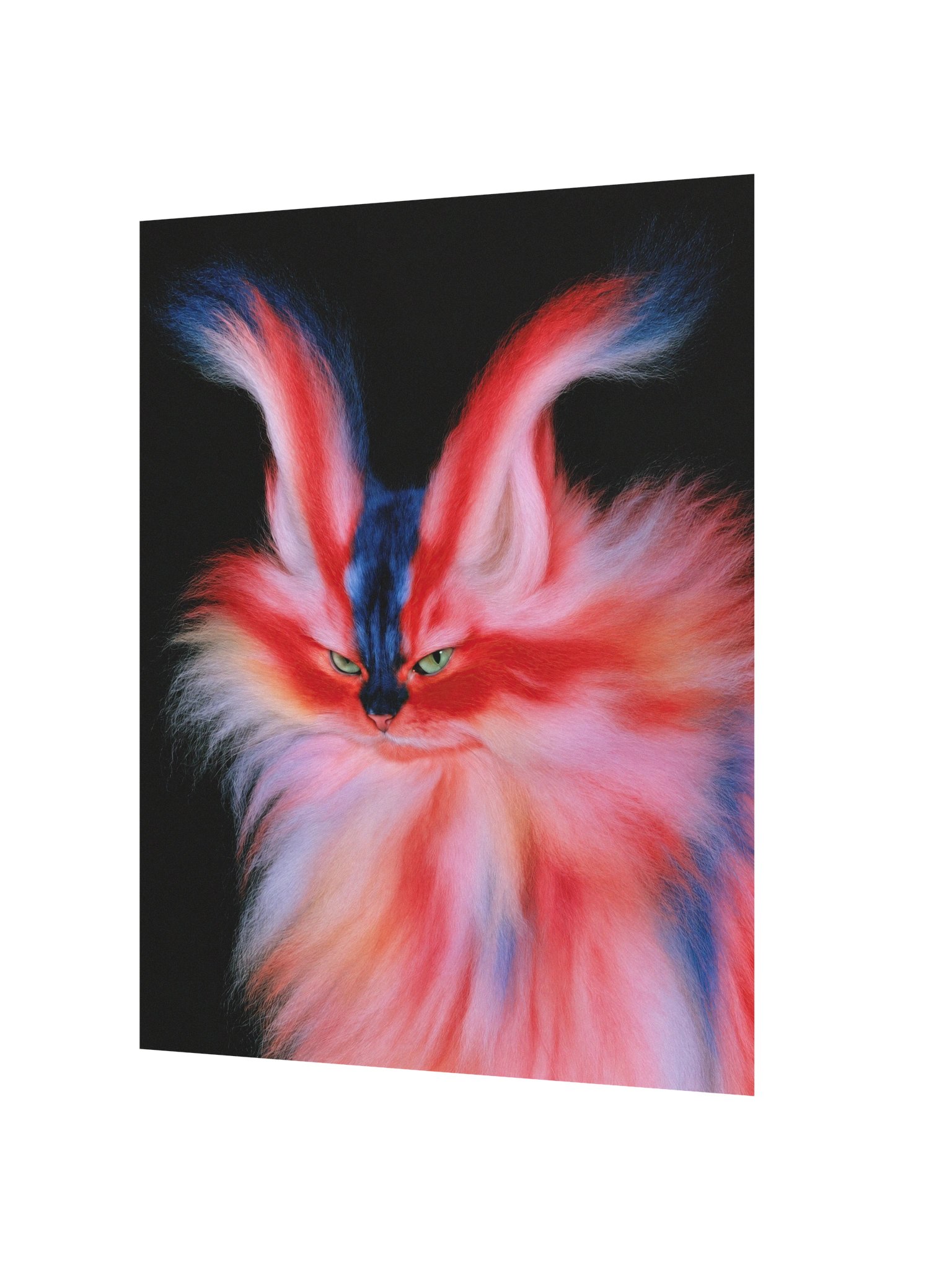 Aura Cat 002 Matte Paper Poster product image (2)