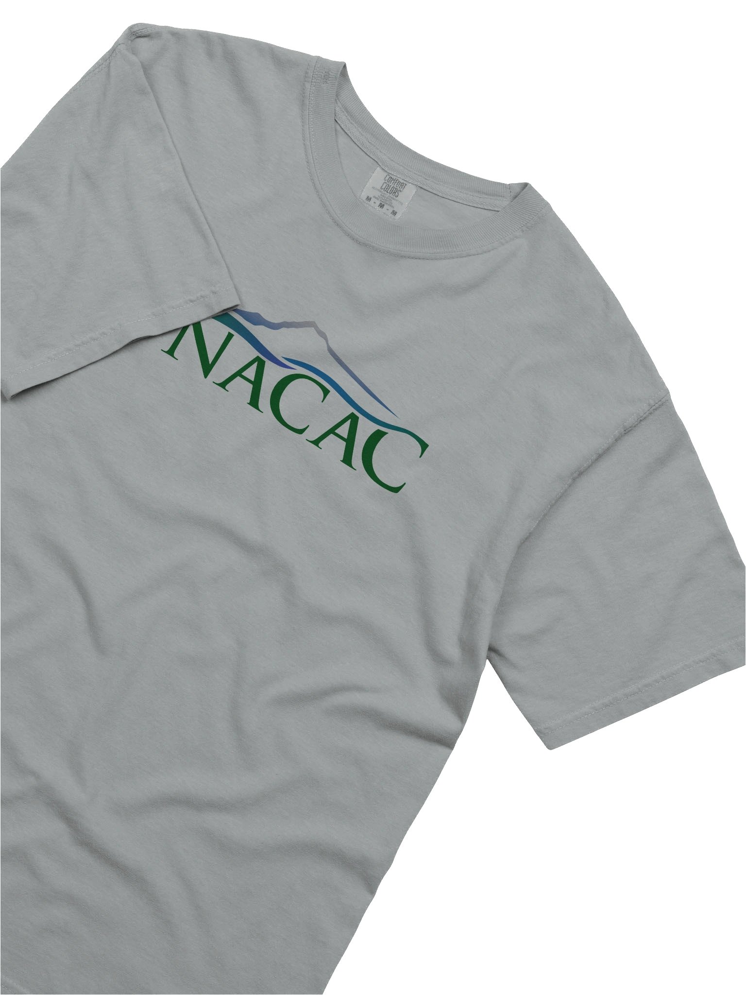 Heavyweight Tee - Color Logo product image (15)