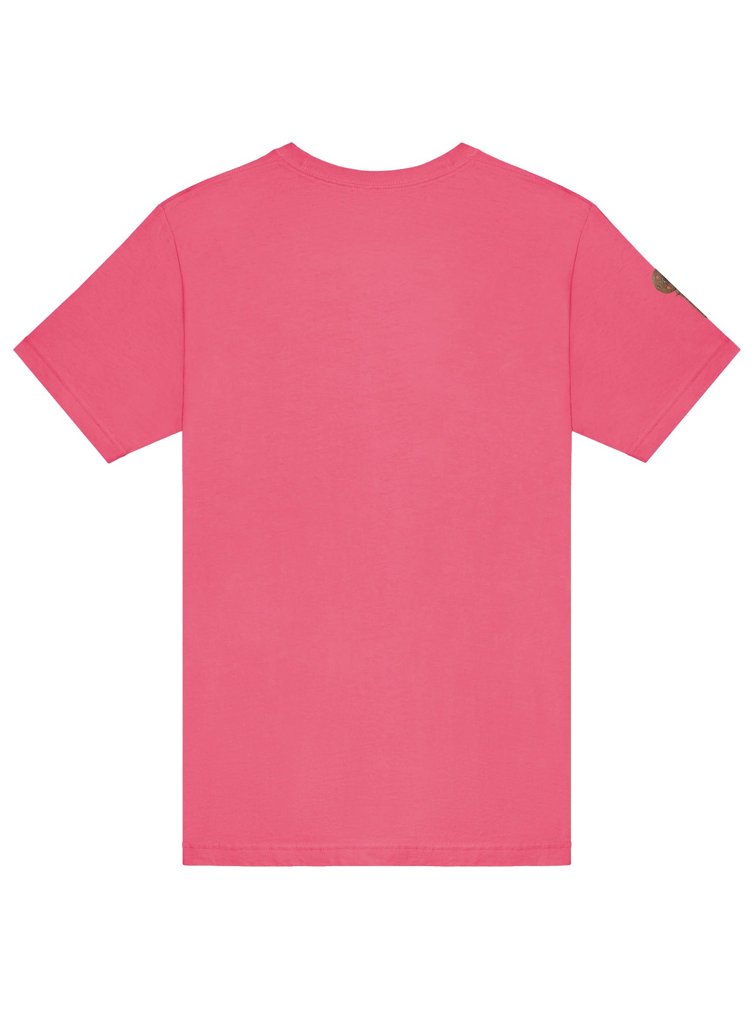 The Gatekeeper’s Key Classic T-Shirt – Front & Right Shoulder Print | Charity Pink | Bella+Canvas 3001 product image (6)