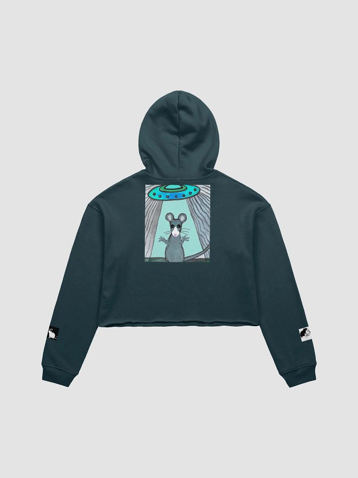 blue rat and UFO cropped hoody (branded) product image (11)
