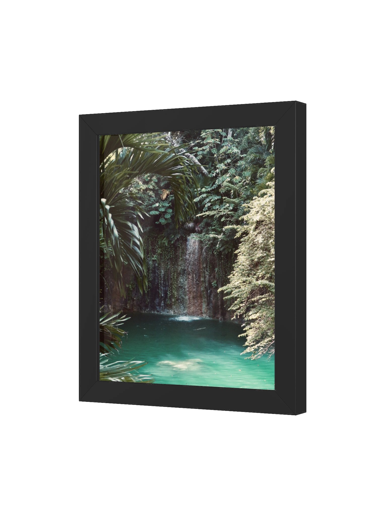 Tulum Cenote product image (24)