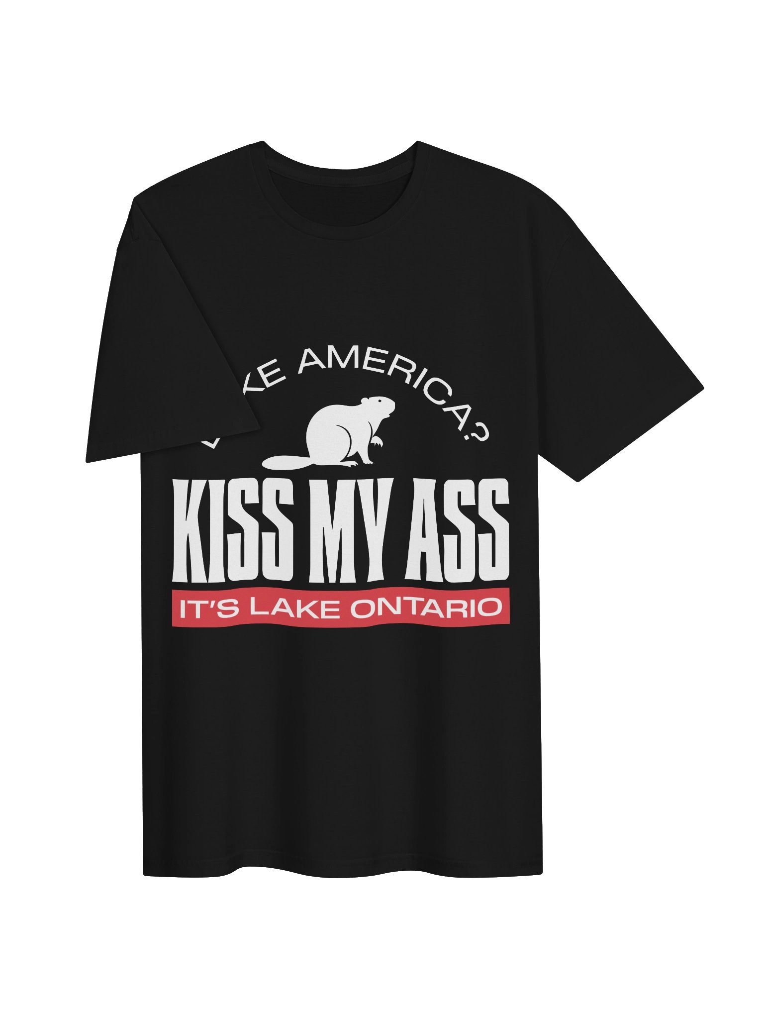 Kiss My Ass - It's Lake Ontario tee - White Edition product image (12)