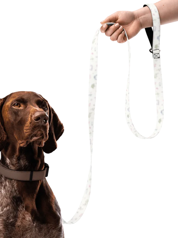 Faith Over Fear Christian Dog Leash – Pastel Faith Pet Leash product image (1)
