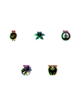 Races Holographic Bundle 2
