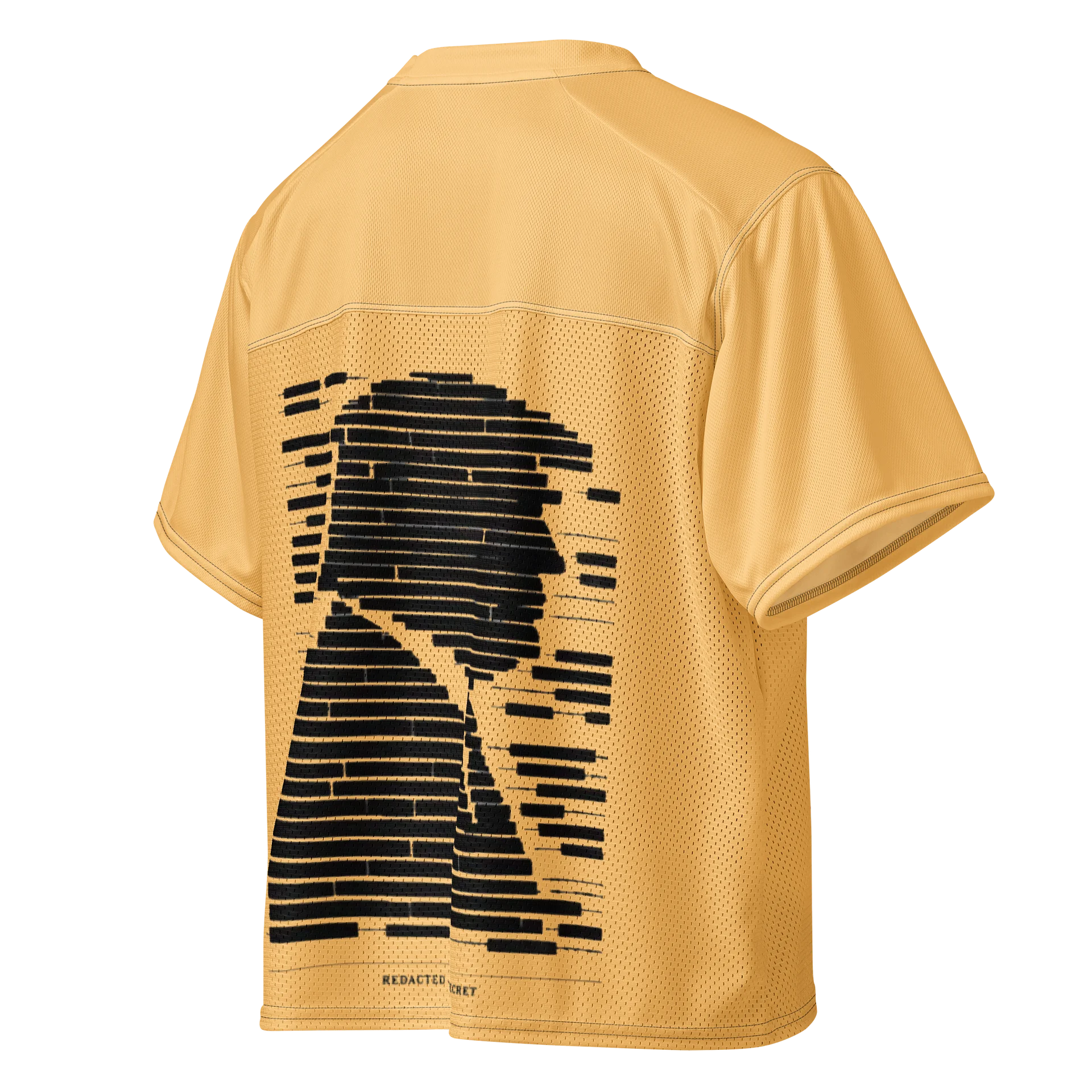 redacted epstein files product image (1)