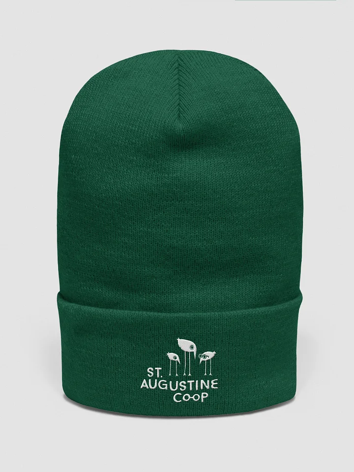 Co-op Beanie Hat product image (16)