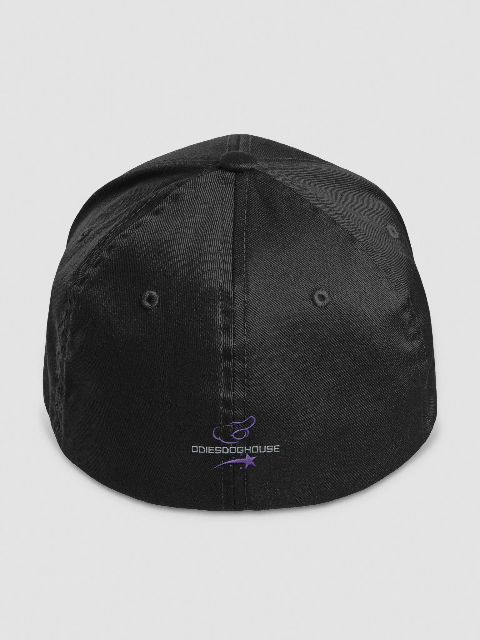 Strays For Life Hat product image (35)