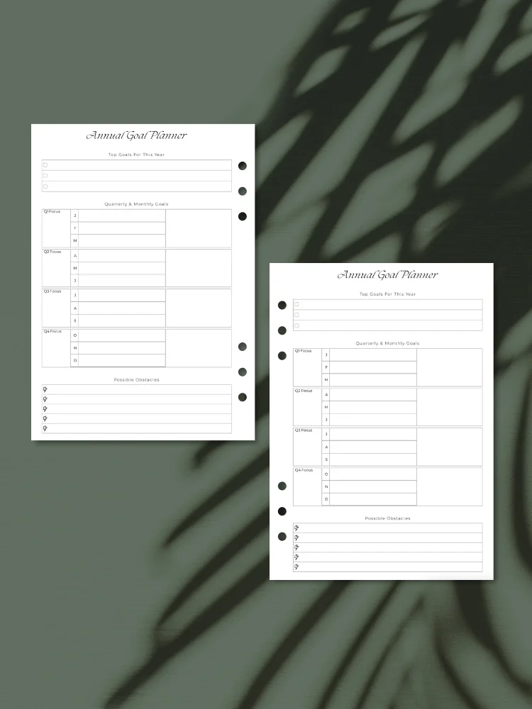 Annual Goal Planner Inserts | Quarterly & Monthly Breakdown | A5 Printable product image (1)
