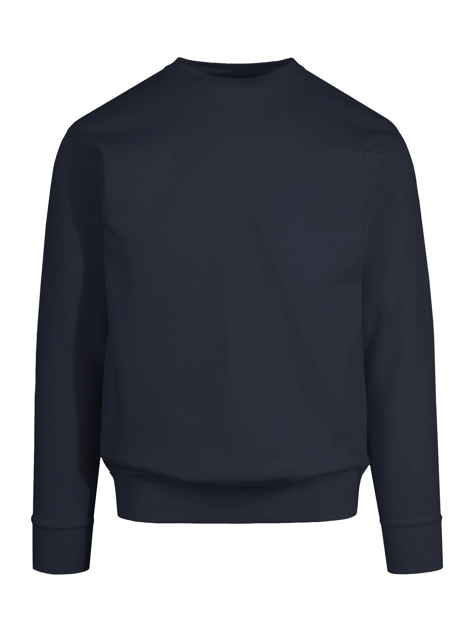 LTS Crew Neck Sweatshirt product image (79)
