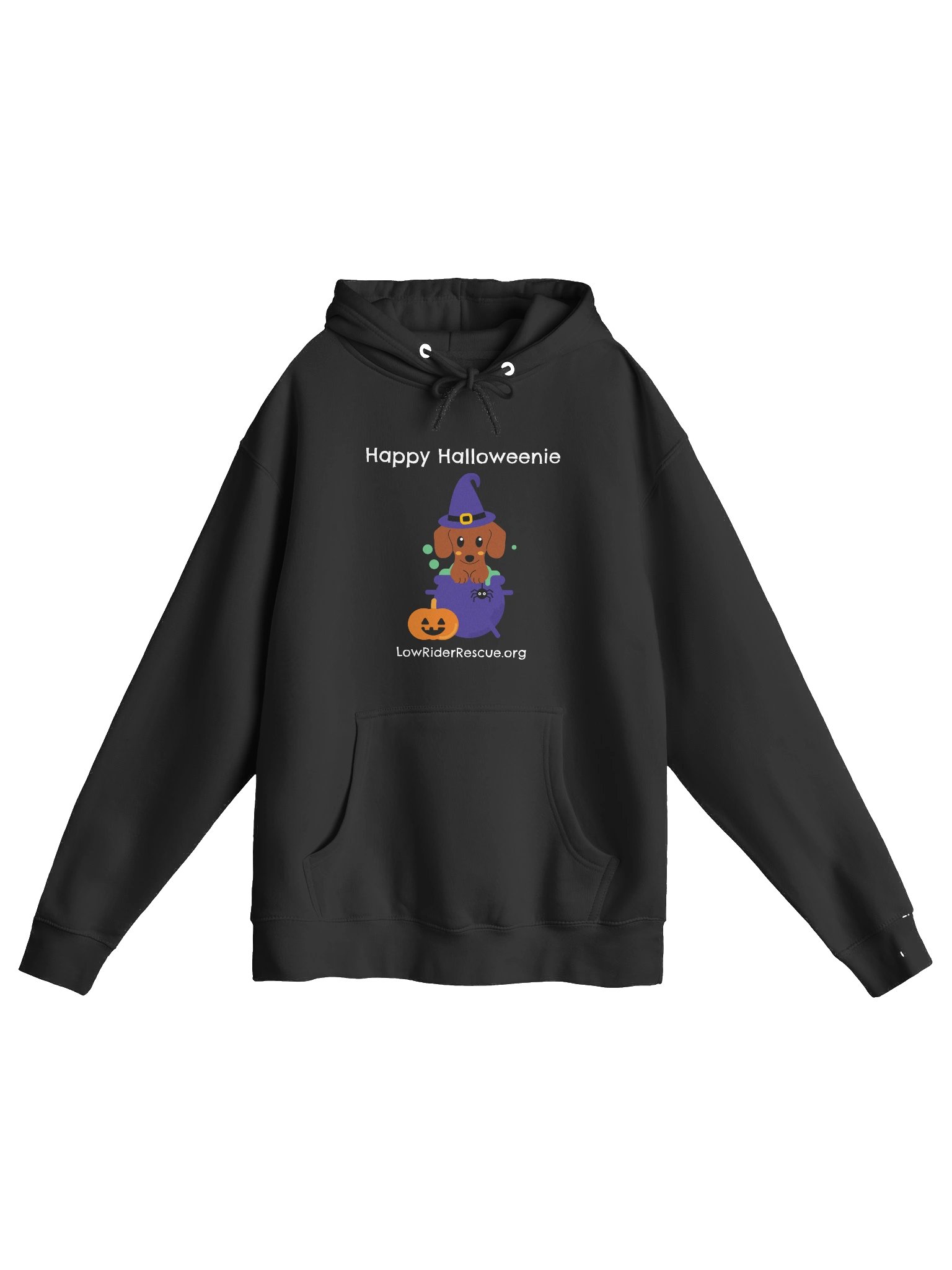 Happy Halloweenie Dachshund Witch Hoodie product image (1)