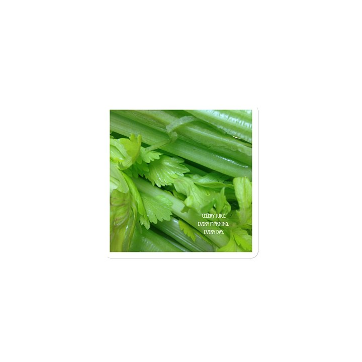 Celery Juice- Every morning. Every day- Magnet product image (1)