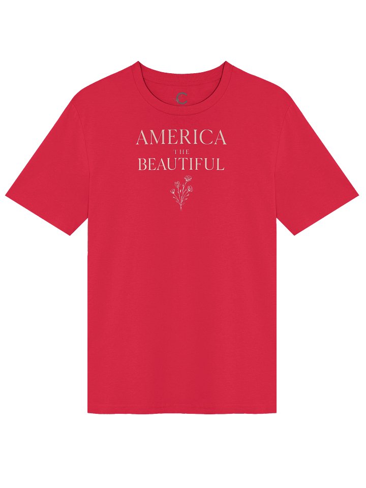 America 250: "America IIII" Organic T-Shirt product image (2)
