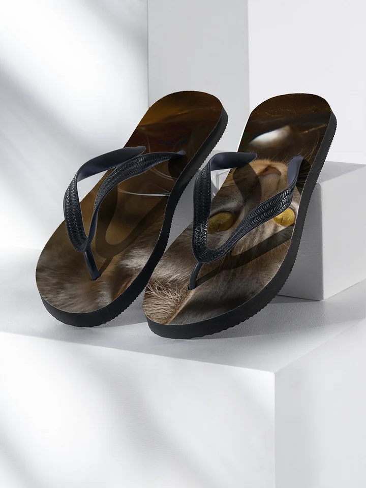 tabby Cat Eyes Flip-Flops product image (1)
