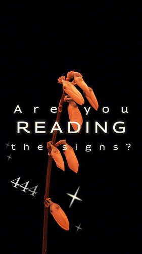 🌿 Description:
Have you ever noticed repeated numbers, feathers, or strange coincidences? ✨ These could be signs from the uni...