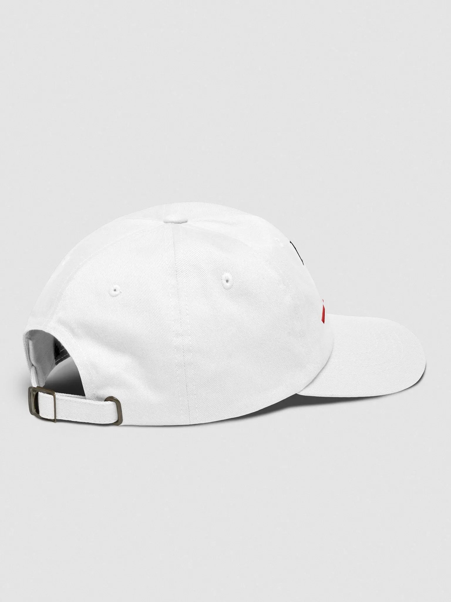 founder mode hat (100% cotton) product image (11)
