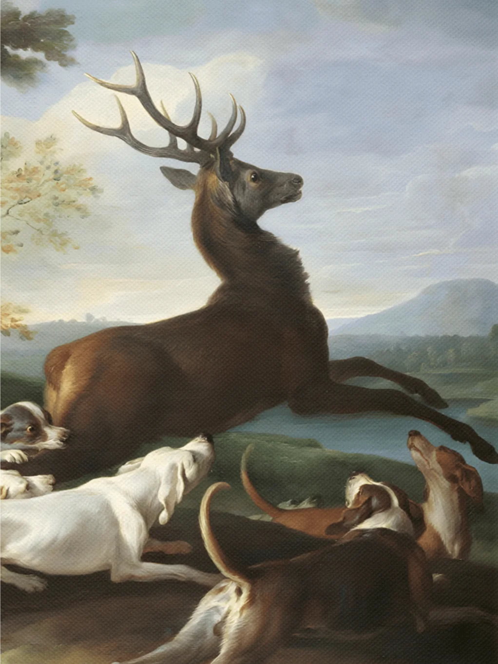 Antique Baroque Deer Hunting With Dogs Canvas Print product image (8)