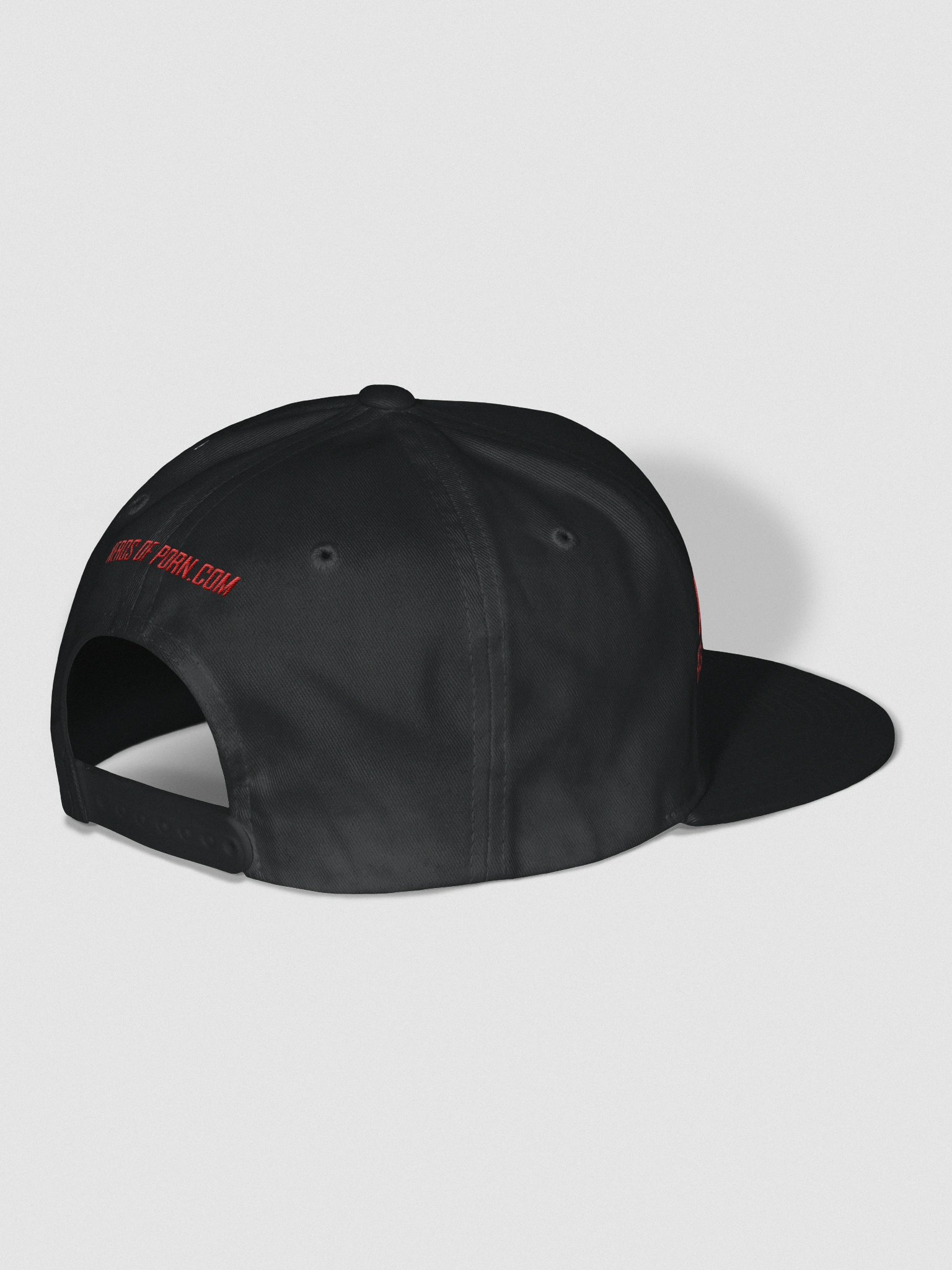 NOP Official Logo Lid (snapback) product image (4)